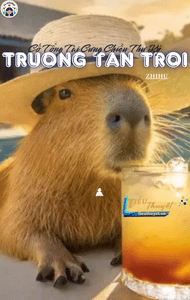 Cố Tổng Tài Cưng Chiều Thư Ký Trưởng Tận Trời