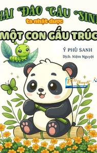 Hải Đảo Cầu Sinh: Ta Nhặt Một Con Gấu Trúc