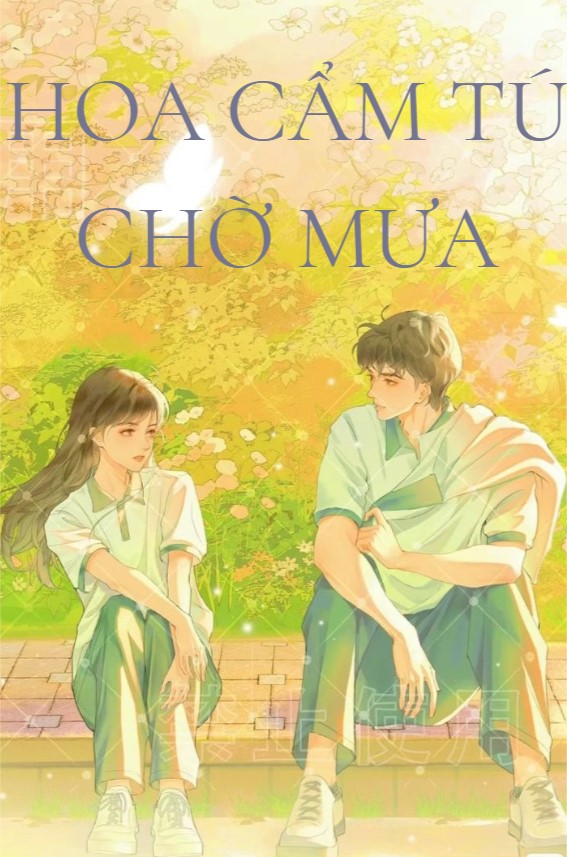 Hoa Cẩm Tú Chờ Mưa