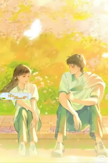SƯ TỬ CỦA CHIM SẺ - KHƯƠNG KHƯƠNG