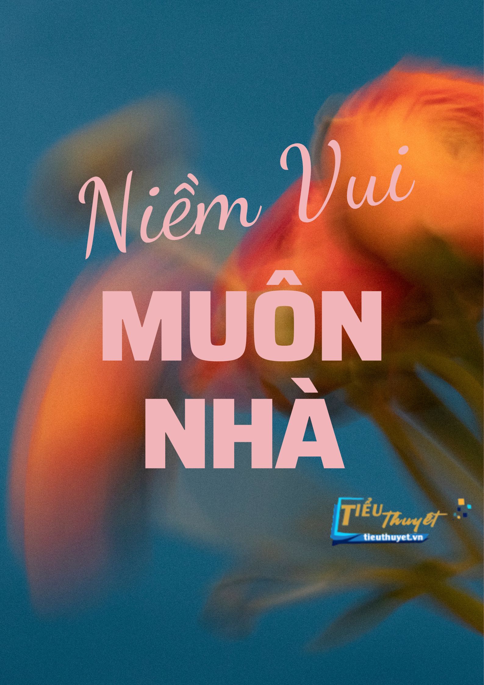  Niềm Vui Đến Muôn Nhà
