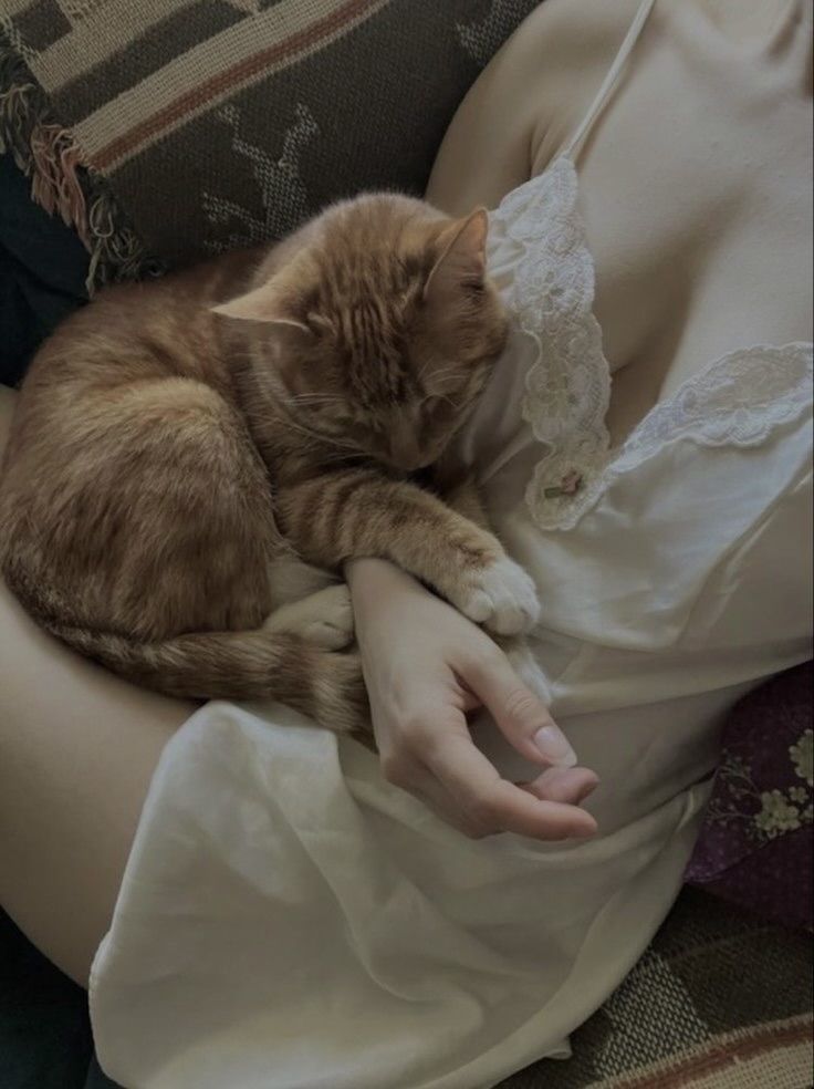 Anh Rể, Thô Quá Rồi!